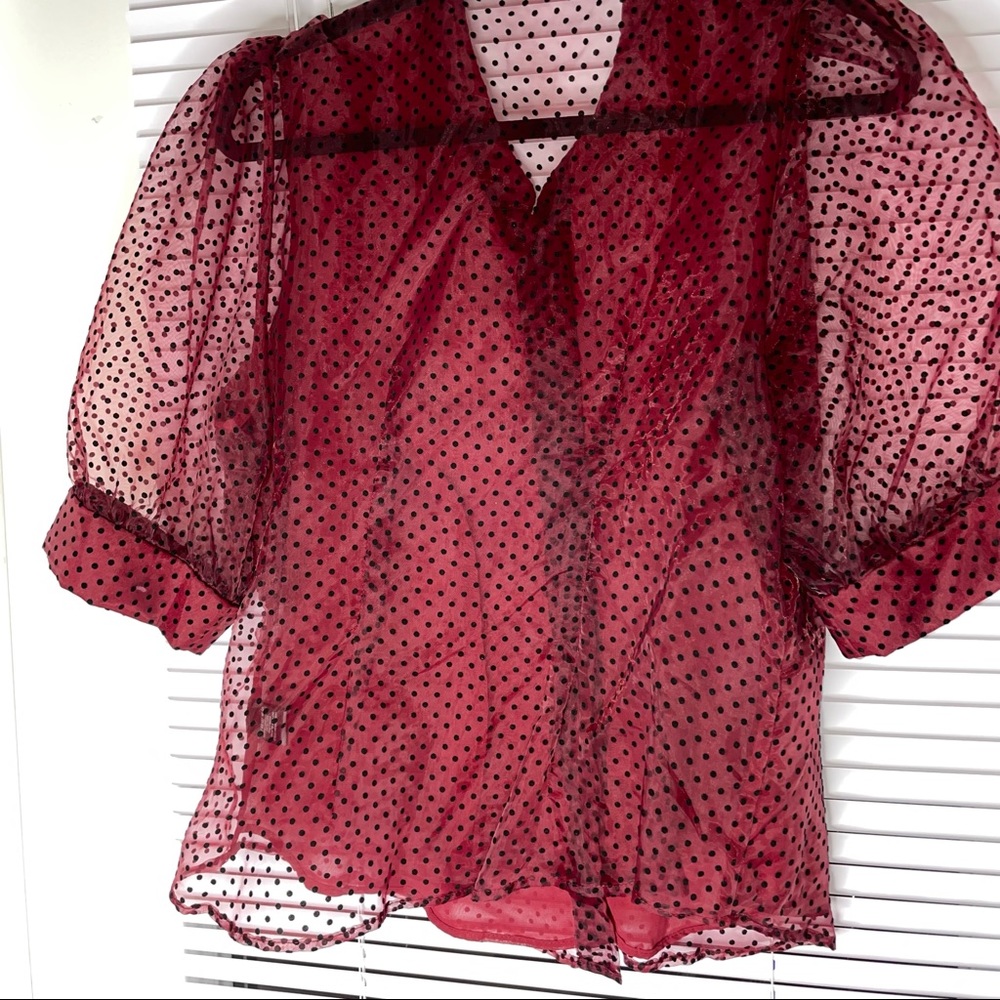 Burgundy Sheer Blouse